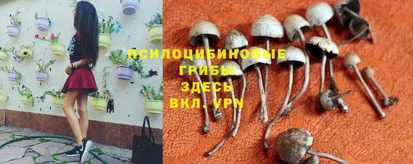 винт Алексеевка