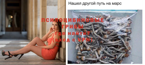 не бодяженный Алексин